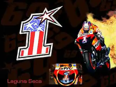 Nicky Hayden MotoGP World Champion #1 2007 Style MotoGP Race Decals Stickers  • $5.99