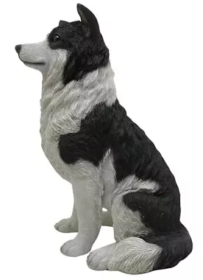 Amazingly Detailed Hand Painted 29.5cm Border Collie Dog Resin Statue • £19.99