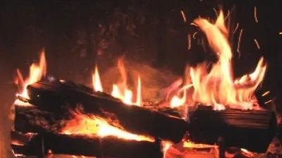 The Best Fireplace Video • $9.99