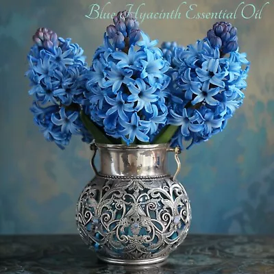 Rare Blue Hyacinth Essential Oil (Hyacinthus Orientalis). 100% Pure And Natural. • $21.99