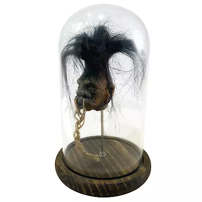 Shrunken Head With Hair Bell Jar Faux Voodoo Witchcraft Oddity Primitive Magic • $89