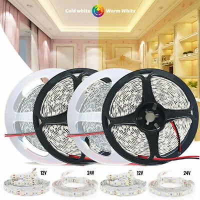 12V 24V Led Strip Light 5m 10m 20m Warm White Cool White Flexible Tape Dimmable • $12.34