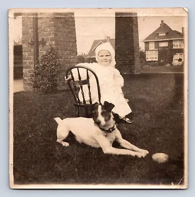 Vintage Photograph Cute Child Playing W/ Pet Dog On Lawn Snapshot Antique • $7.99