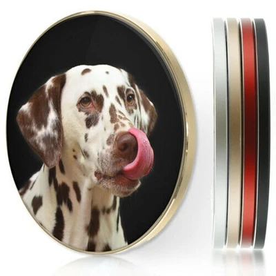 $40.81 • Buy Wireless Charger For Apple Iphone 11/XS/8/Samsung S10/S9/S8/S7 - Dalmatian Dog
