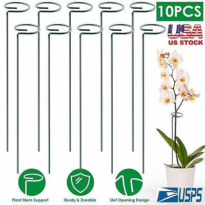 10pcs Plant Support Stakes Garden Flower Veg Single Stem Support Stake 16  • $14.39
