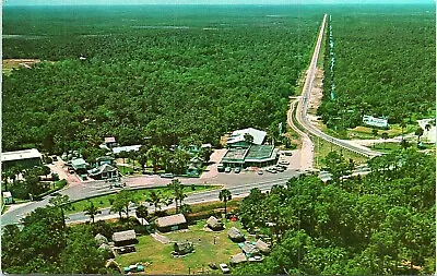 Vintage Postcard Royal Palm Hammock - Road To Goodland And Marco Island Florida • $3.49