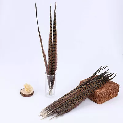 25-30cm 20 Pack Natural Pheasant Tail Feathers DIY Craft Party 10-12 Inch Long • £5.48