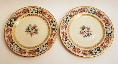 Vtg Plates Limoges ? Floral C Ahrenfeldt 2 French China 6.5  Hand Painted  • $19.99