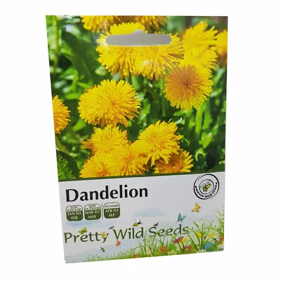 Dandelion Herb Seeds In Pictorial Pacvket From A UK Seller • £2.65