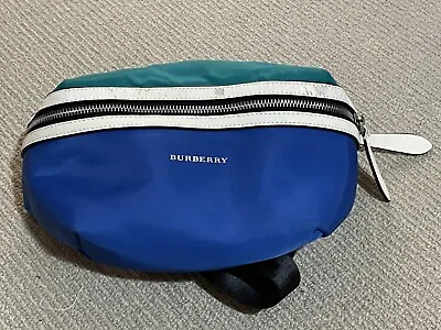 Burberry Belt Bag  • $149