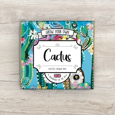 Grow Your Own Cactus Kit - Handmade In The UK - Seeds Guaranteed • £5.99