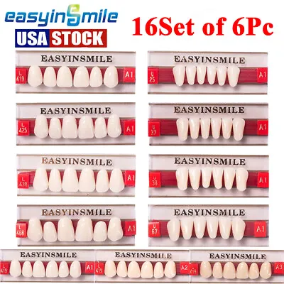 Dental Acrylic Resin Upper/Lower Anterior Denture Teeth A1/A2/A3 16Set*6Pc 2Pack • $17.74