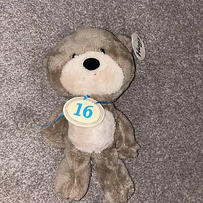 Card Factory Hugs Teddy Bear 16th Birthday • £5.99