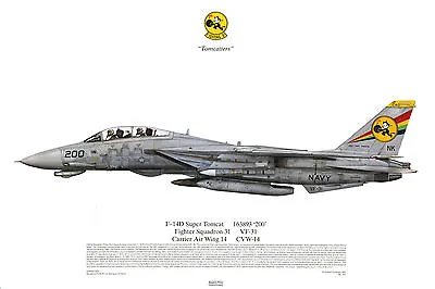 Squadron Print 514 F-14D Super Tomcat VF-31 USS Carl Vinson US Navy Aviation Art • $14.99
