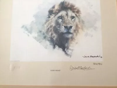 David Shepherd Signed Limited Edition Proof “lion’s Head” • £70