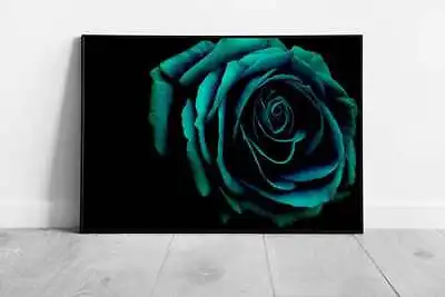 Beautiful Blooming Dark Blue Deep Teal Rose Floral Flower Photography Dark • £7.91