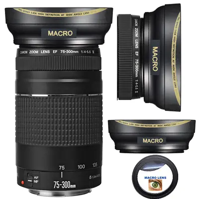 PANORAMIC + MACRO LENS FOR Canon EF 75-300mm F/4-5.6 III Lens EOS Rebel T5 T7 • $48.84