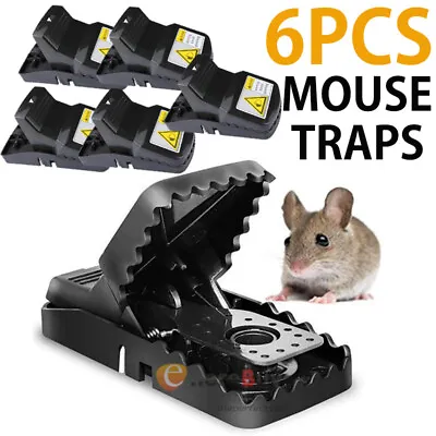LARGE Mouse Traps Rat Mice Rodent Killer Snap Trap Reusable Heavy Duty Pest Trap • $23.39