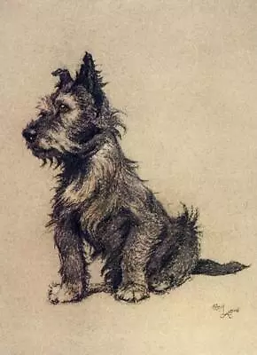 £3.99 • Buy Cecil Aldin A Dozen Dogs Or So Brandy ReprInt Photo Picture No.10