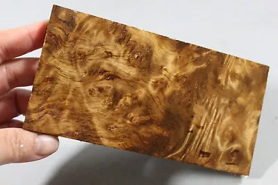 Inlay Wood Worm-hole Golden Camphor Burl Box Making Marquetry Veneer 6944 • £15.59