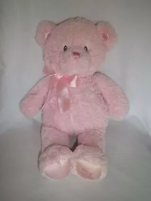 BABY GUND 14  Plush MY FIRST TEDDY Bear PINK 21029 Stuffed Animal Toy Medium • $12.99