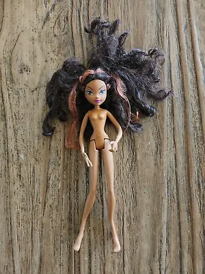 WINX Club Doll - 2005. Dark Skin Brown Hair. • $30