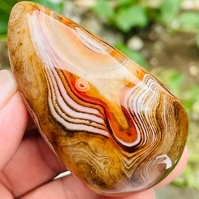 142g Natural Polished Silk Banded Lace Agate Crystal Palm Stone Specimen Healing • $8.50