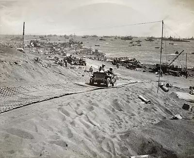 VERY RARE! WW2 US MARINE CORPS OFFICIAL ID'd + DATED IWO JIMA BEACH HEAD PHOTO • $105