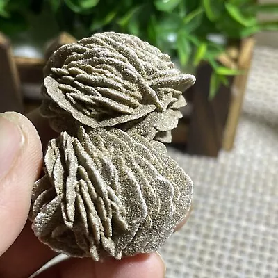 $11.05 • Buy 1pcs Desert Rose Selenite Stone Natural Quartz Crystal Specimen Decor 57g A9