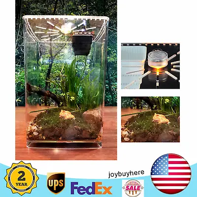 Acrylic Reptile Terrarium Gecko Lizard Snake Spider Vivarium Cage Tank US • $31.35