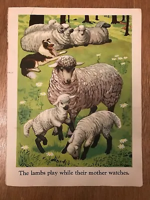 Lambs Sheep Collie George Trimmer Vintage Print 1939 Hen Chickens Terrier • $24