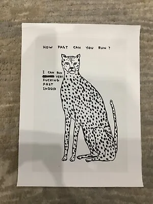 David Shrigley A4 Print On Canvas Luxury Style How Fast • £7.99