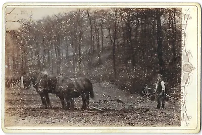 £15.99 • Buy Cabinet Card Photo Farmer Man Ploughing Field Horses Working H Young 1890s-1900s