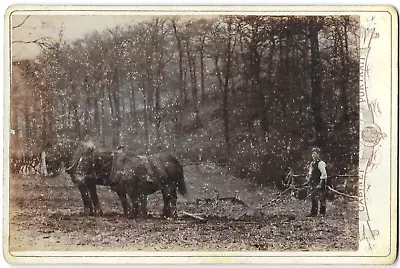 Cabinet Card Photo Farmer Man Ploughing Field Horses Working H Young 1890s-1900s • £9.99