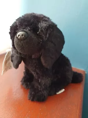 £8.49 • Buy 6.5  Poodle Teddy BLACK POODLES Plush Toy Dog Soft Toys Dogs Teddies Animals