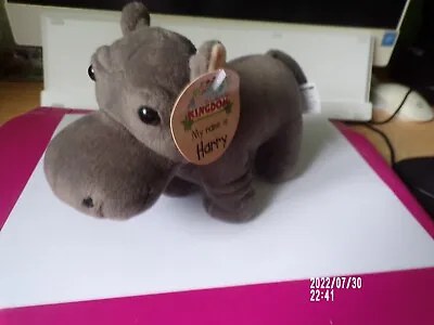 Deagostini My Animal Kingdom Harry Daddy & Baby Hippopotamus Plush With Tags • £5