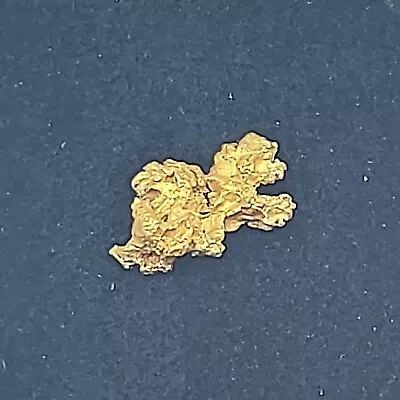 RARE Australian Small Natural Gold 22-24ct Nugget • $144.90