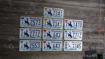$19.99 • Buy Wyoming License Plate Bulk Lot Bucking Horse All Original Embossed Blue Mtns !!!