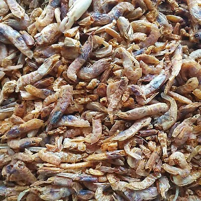 Dried Shrimp Feed Turtle Terrapin Reptile Aquarium Marine Pond Food • £16.70