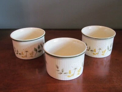 £8.95 • Buy 3 Royal Doulton Will O The Wisp Ramakins