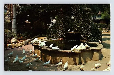 Postcard California San Gabriel CA Mission Fountain Pigeons 1960s Unposted • $3