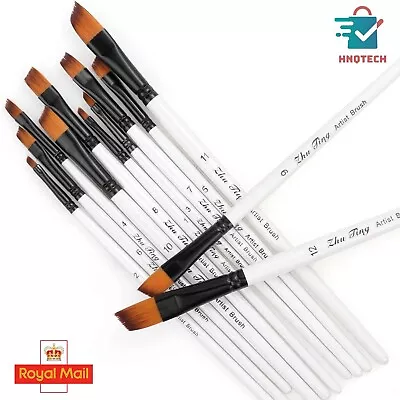 Paint Brushes 12pcs Angled Paint Brushes For Acrylic Oil Artist Paint Brush Set • £6.28