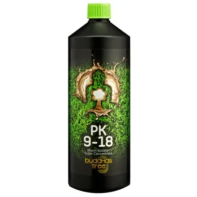 Buddhas Tree - PK 9-18 • £27