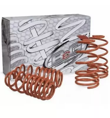 B&g Dodge Charger Rwd 11-12 5.7 V8 Lowering Springs 1.2 /1.2  - Us Seller • $150