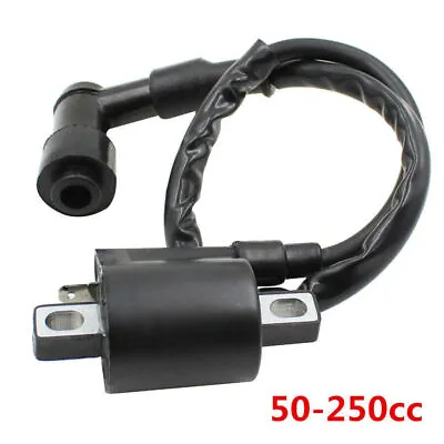 12V Ignition Coil For Chinese Motor DirtBike ATV Scooter GoKart Moped 50cc-250cc • $27.43