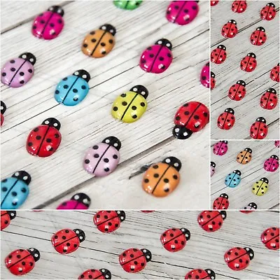 Acrylic Ladybirds Self Adhesive Lady Bug Stick On Craft Cards Red Multicolour • £2.20