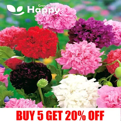 £1.19 • Buy PEONY POPPY MIX - Double Flower Poppy - 1000 Seeds - Breadseed Poppy - Papaver