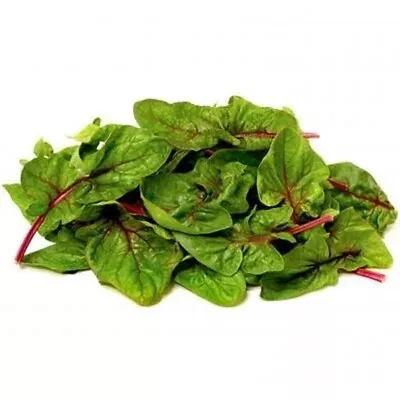 Red Stem Malabar Spinach Seeds Heat Tolerant Non Bolting 10 Seeds • $3.99