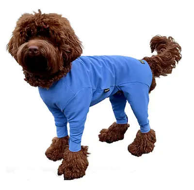 New Hotterdog Dog Canine Summer Suit By Equafleece • £22