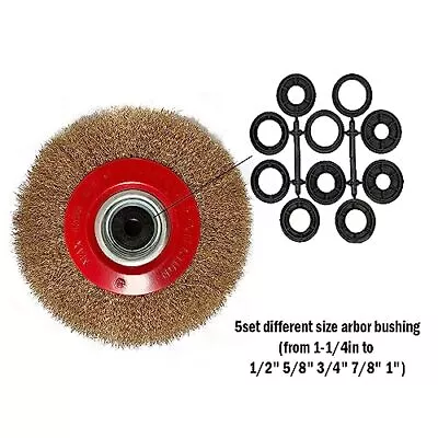 8in Bench Wire Wheel Brush Steel Wire 0.012  With 1/2  5/8  3/4  7/8  1  Arbors • $18.94